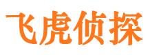 西藏市私家侦探